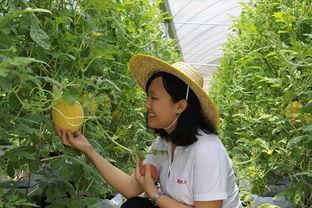 青州吃瓜事件是谁,揭秘背后真相与争议